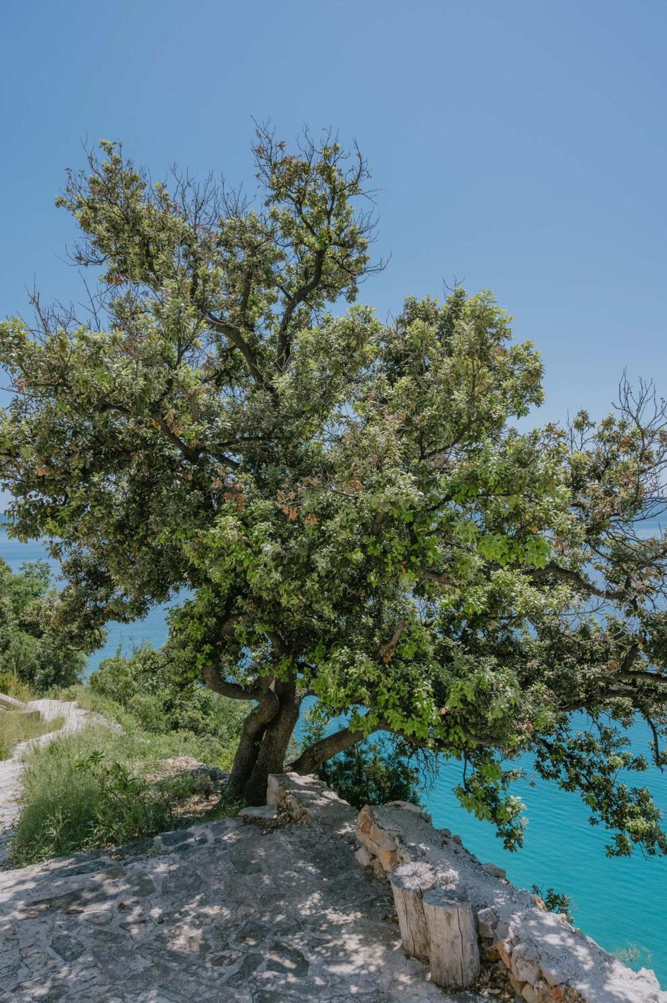 Hidden Gem By Nono Ban Villa Bol Eksteriør billede